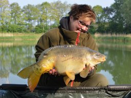 Competities HSV Alfheim